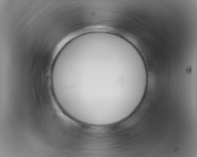 X0000114011474200910020941