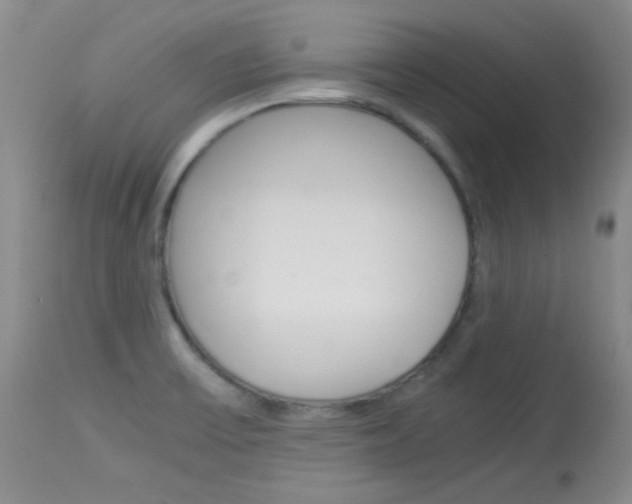 X0000114011475200910020941