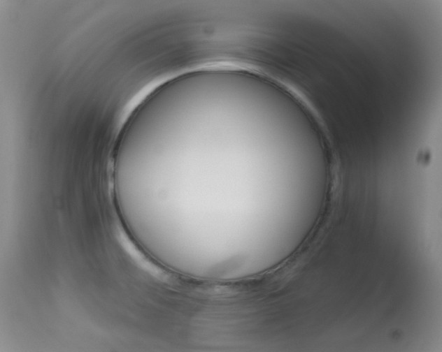 X0000114011476200910020941