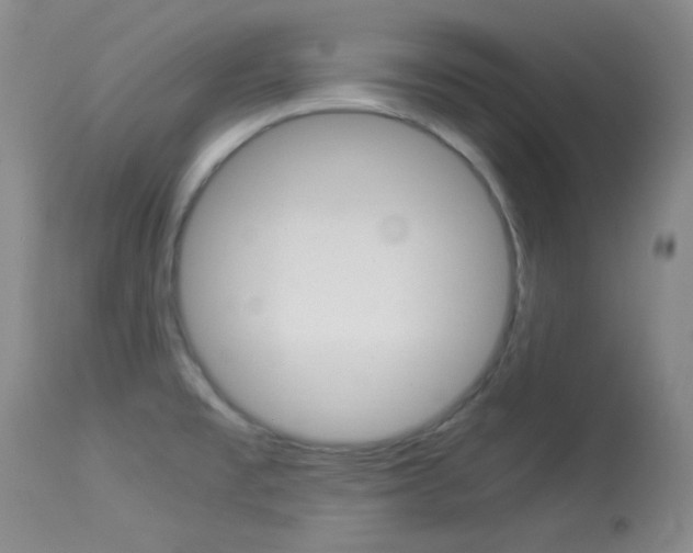 X0000114011477200910020941