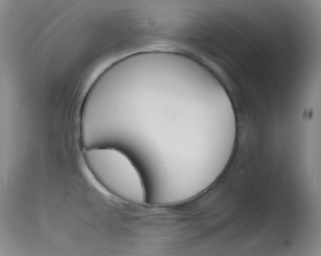 X0000114011479200910020941