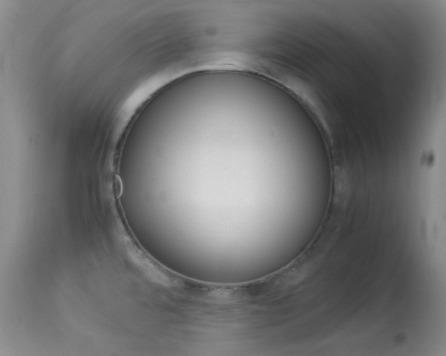 X0000114011480200910020941