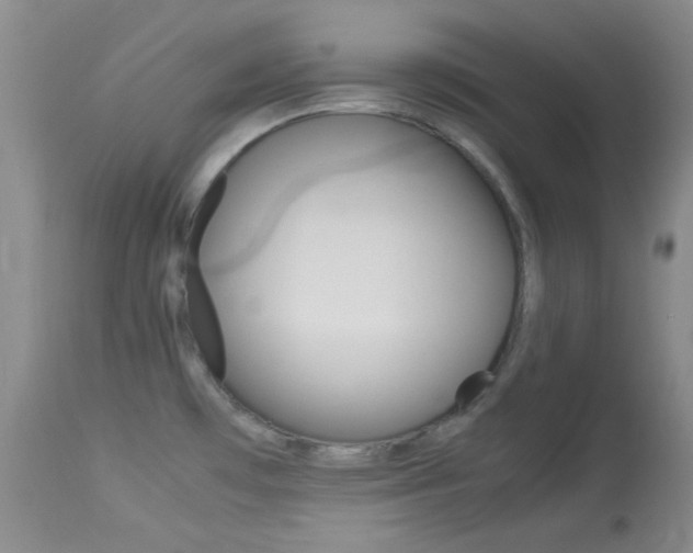 X0000114011481200910020941