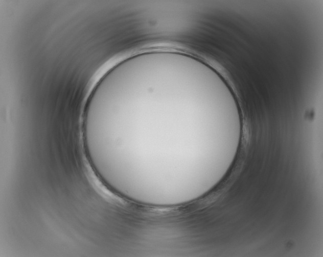 X0000114011482200910020941