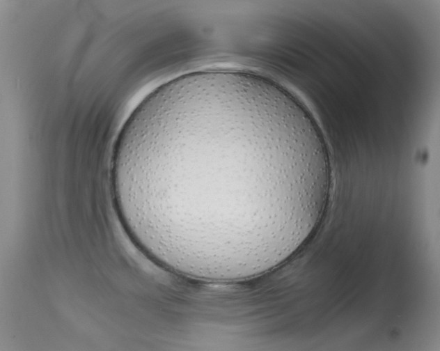 X0000114011483200910020941