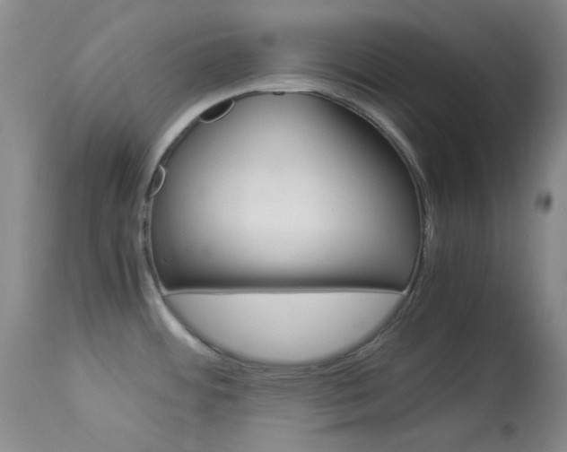 X0000114011484200910020941