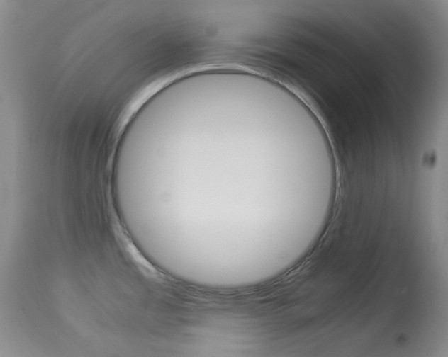 X0000114011485200910020941