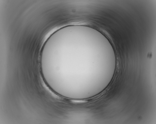 X0000114011487200910020941