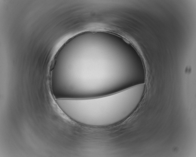X0000114011488200910020941