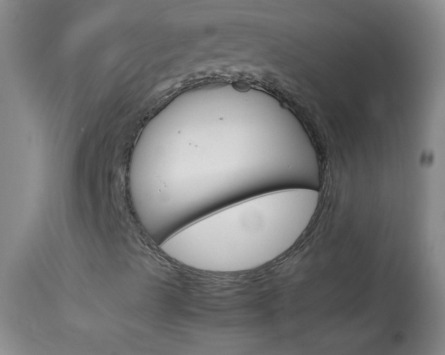 X0000114011489200910020940
