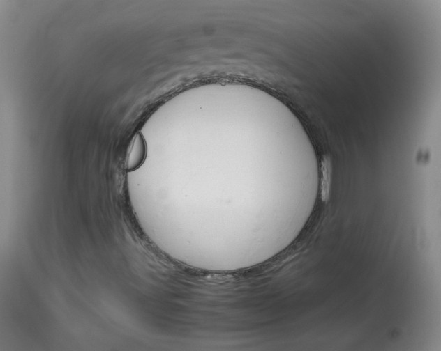 X0000114011491200910020940