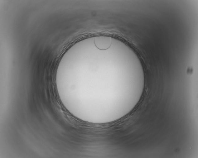 X0000114011492200910020940