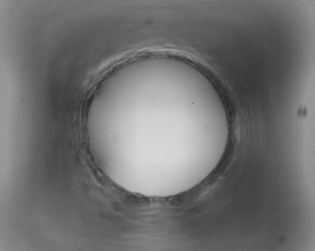 X0000114011494200910020940