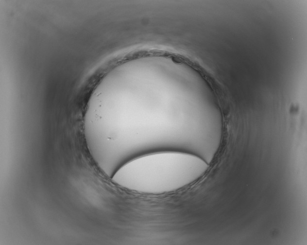 X0000114011495200910020940