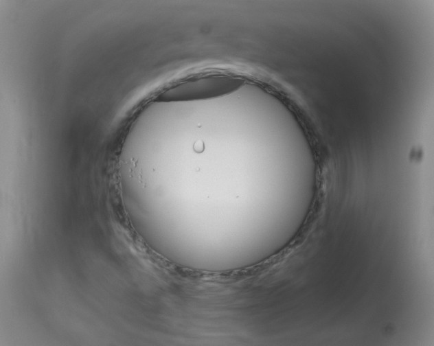 X0000114011496200910020940