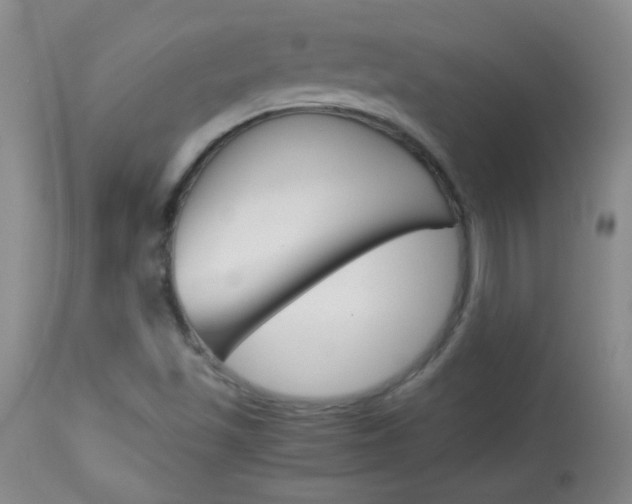 X0000114011501200910020940