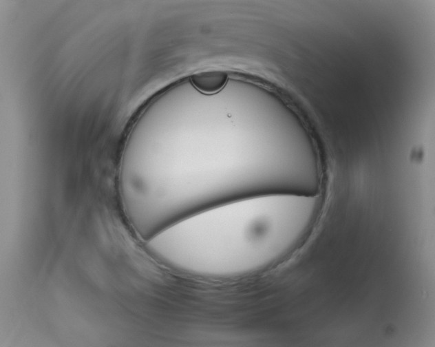 X0000114011505200910020940