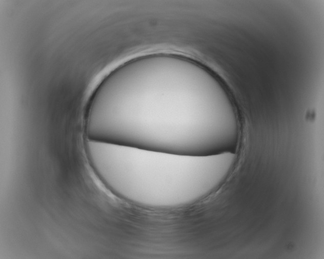 X0000114011508200910020940