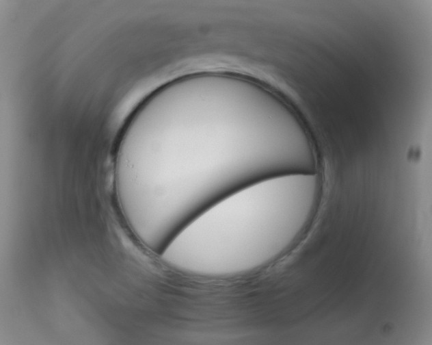 X0000114011509200910020940