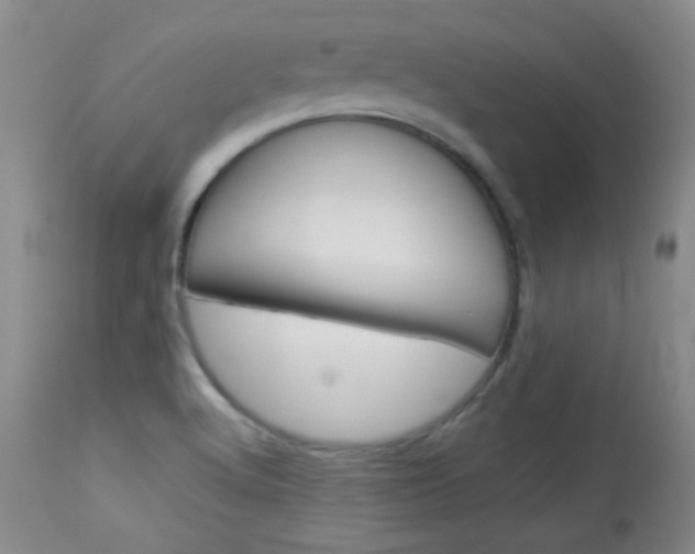 X0000114011512200910020940