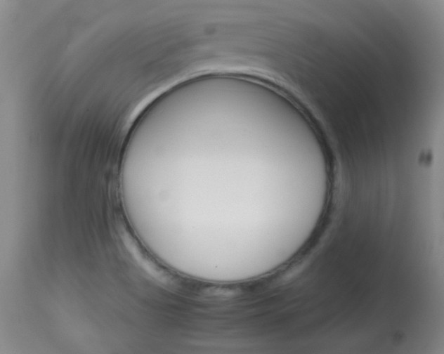 X0000114011513200910020940