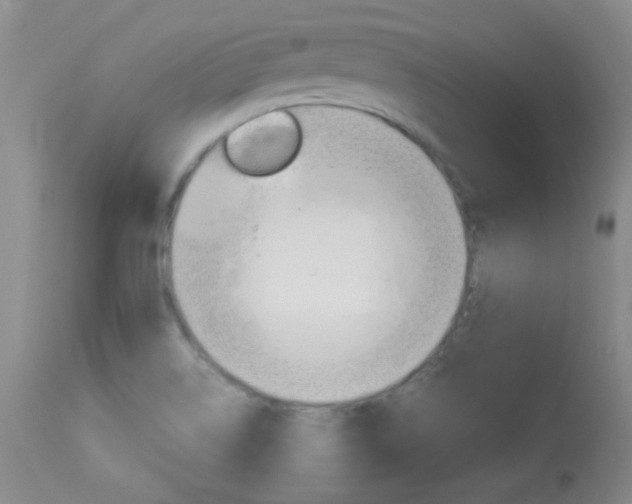 X0000114011514200910020940
