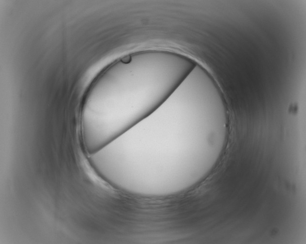 X0000114011515200910020940