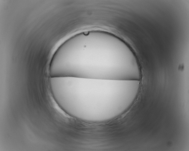 X0000114011516200910020941