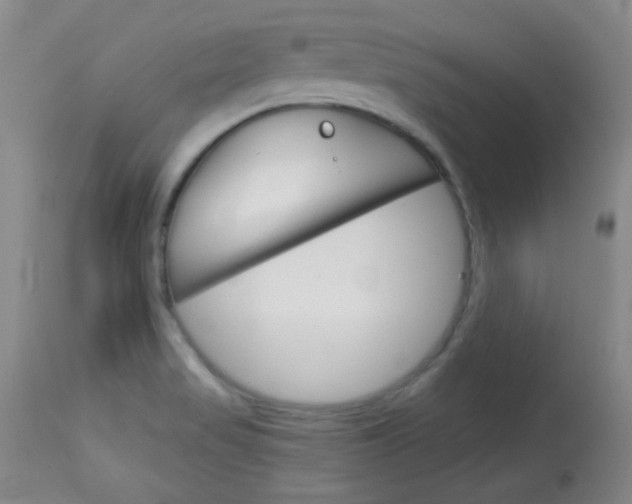 X0000114011517200910020941