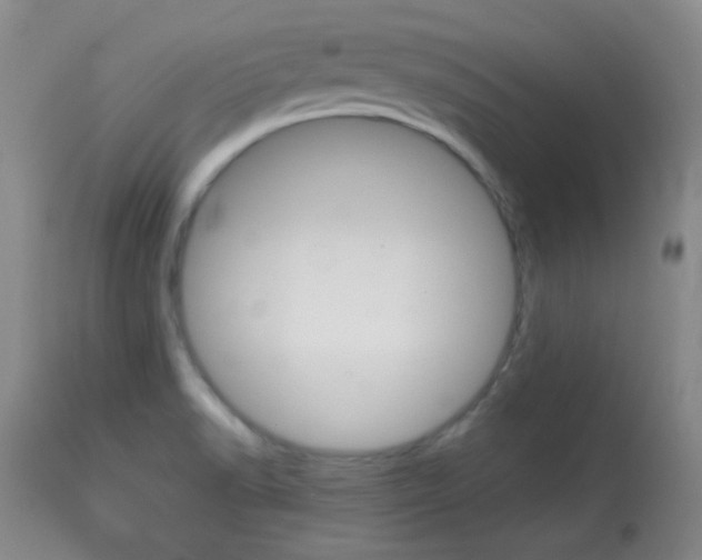 X0000114011518200910020941