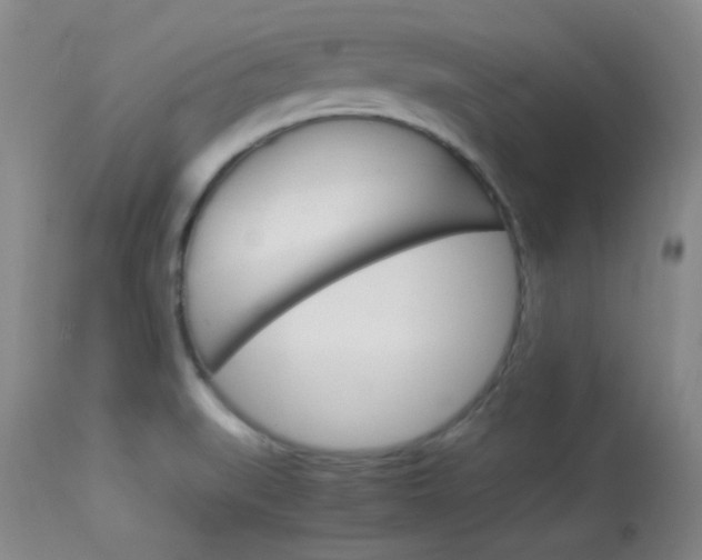 X0000114011519200910020941