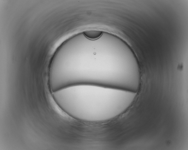 X0000114011523200910020941