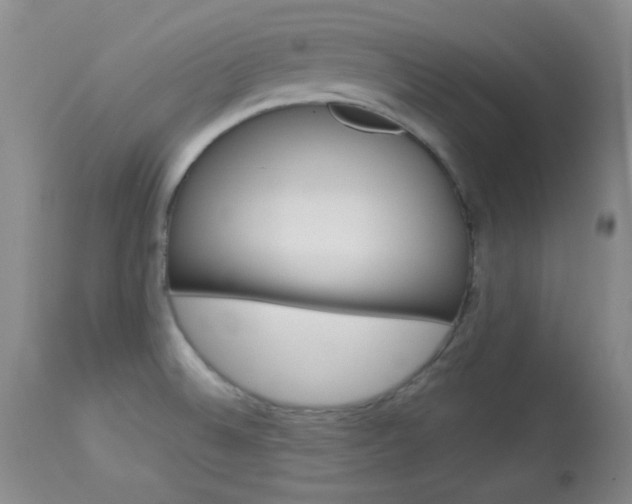 X0000114011524200910020941