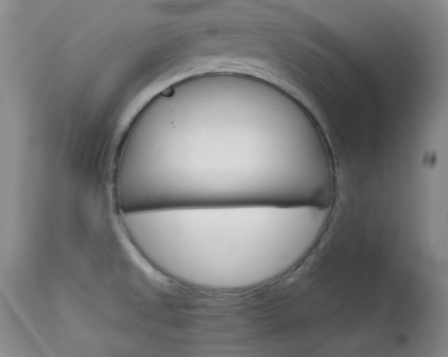 X0000114011525200910020941