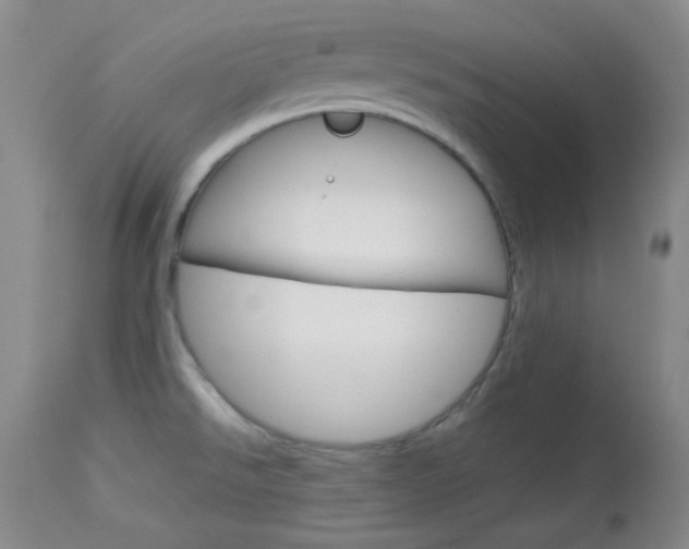 X0000114011526200910020941