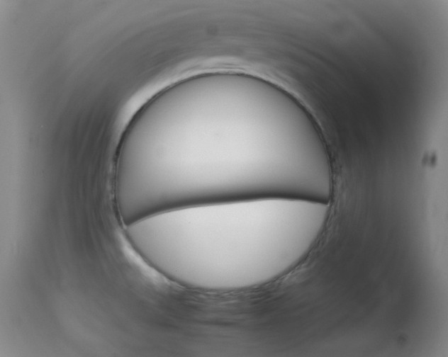 X0000114011527200910020941