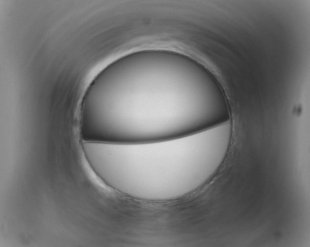 X0000114011528200910020941