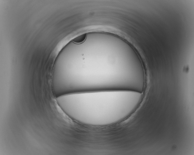 X0000114011529200910020941