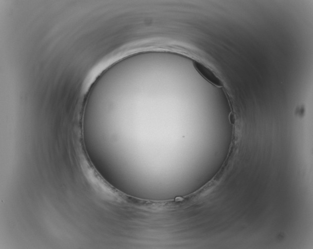 X0000114011530200910020941