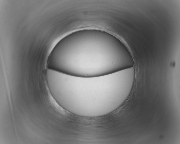 X0000114011532200910020941