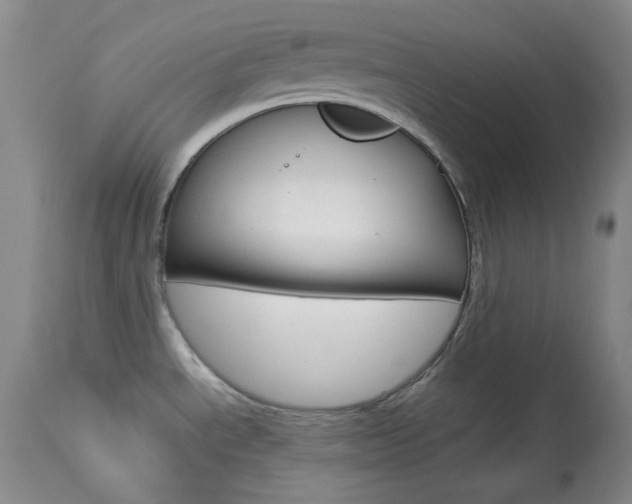 X0000114011534200910020941