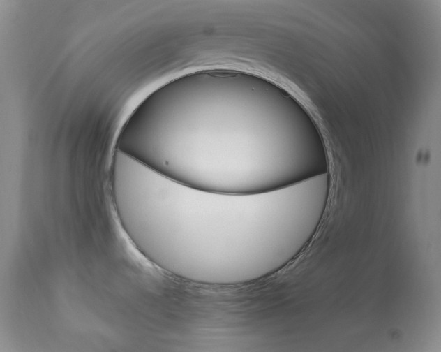 X0000114011536200910020941
