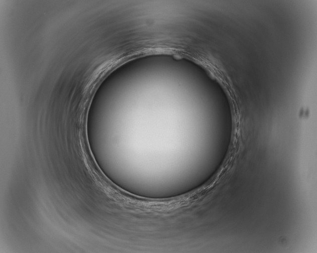 X0000114010001200910021354