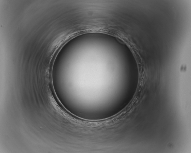 X0000114010002200910021354