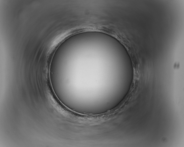 X0000114010005200910021354