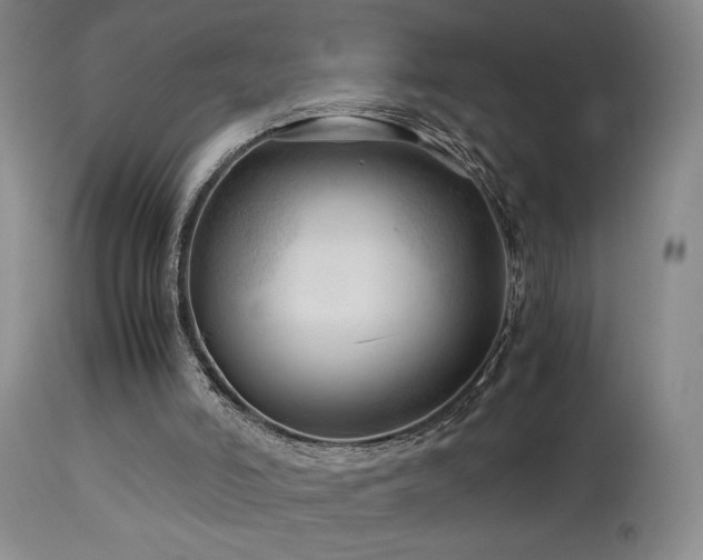 X0000114010006200910021354