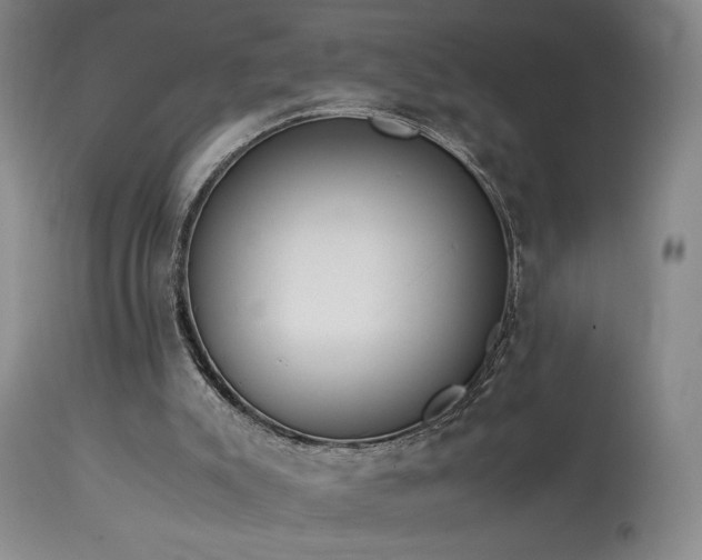 X0000114010007200910021354