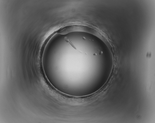 X0000114010008200910021354