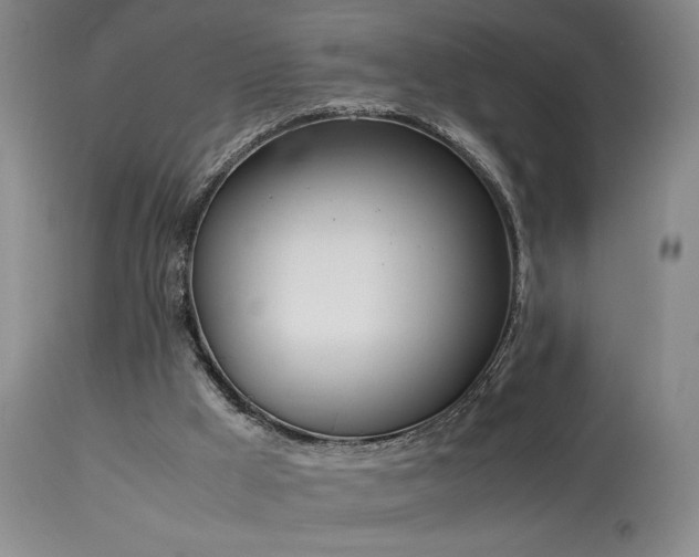 X0000114010009200910021354