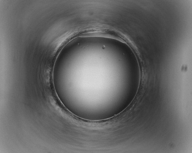 X0000114010010200910021354